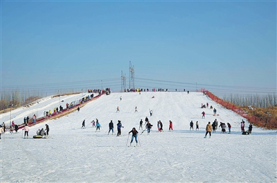 ycrbp85_b.jpg