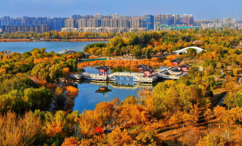 海宝公园 绽放秋天的颜色-银川市人民政府门户网站